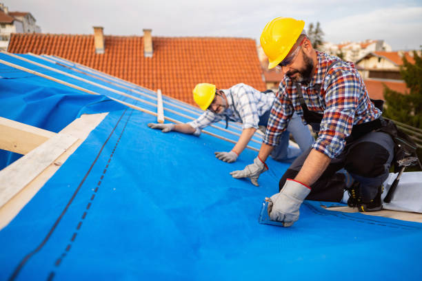 Quick and Trustworthy Emergency Roof Repair Services in Valley, NE